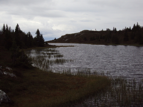 landschap Zweden