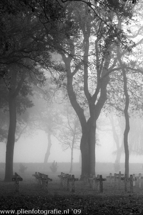 Begraafplaats in de mist (2)
