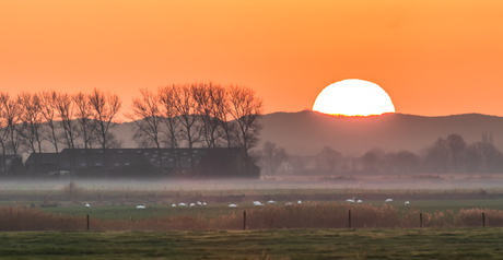 ondergaande zon