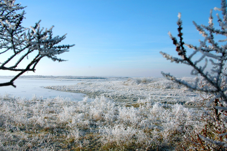 Winters landschap