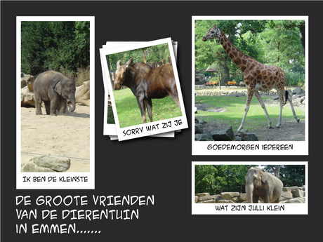 De vrienden uit Zoo Emmen