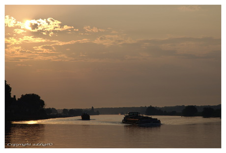 Maas in ochtendglorie