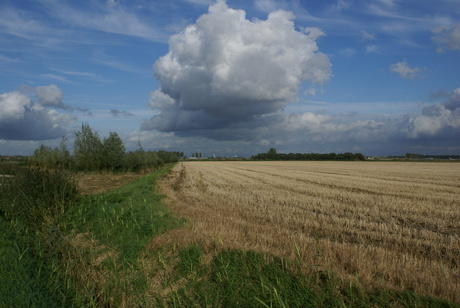 wolkje