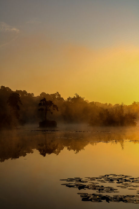 zonsopkomst vennen oisterwijk 3