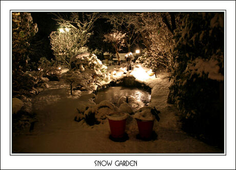 Snow garden