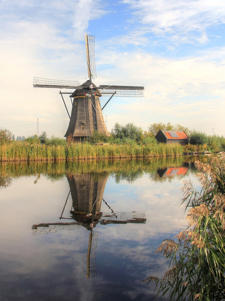 Kinderdijk