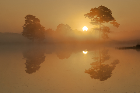 Zonsopkomst bij Appelscha