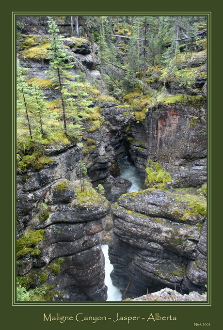 Maligne Canyon