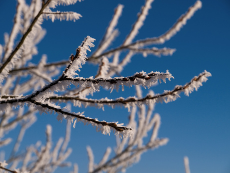 Winter in NL