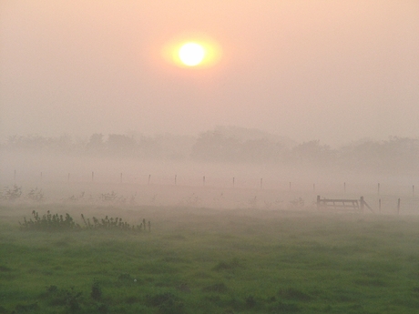 FOGGY ISLE