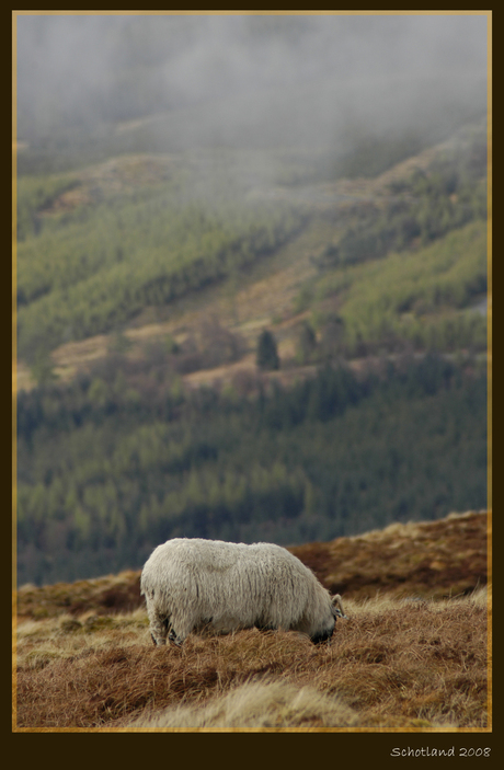 Highlands Scotland