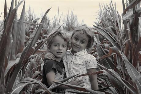 Children of the corn...