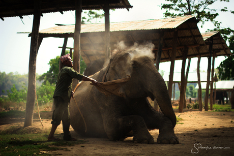 Mahout