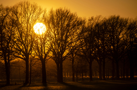 Zonsondergang