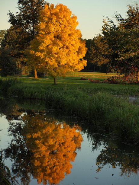 Goudherfst