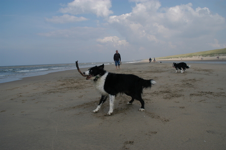 Jack aan zee