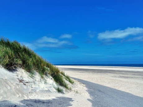 Duin en strand,Texel.
