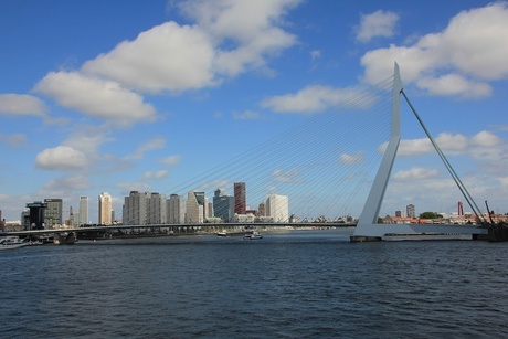 Rotterdam de Zwaan
