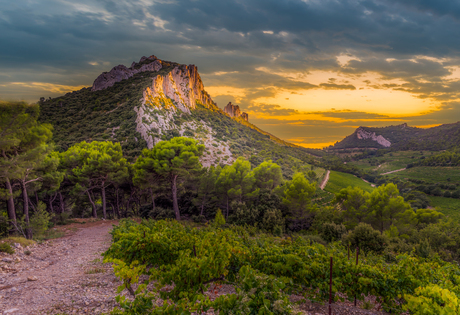 Dentelles de Montmirail