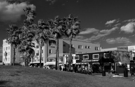 Venice Beach in Z/W