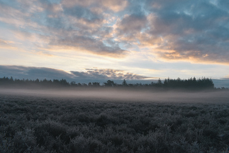 zonsopkomst op de hei