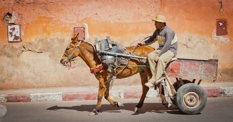 Marrakech