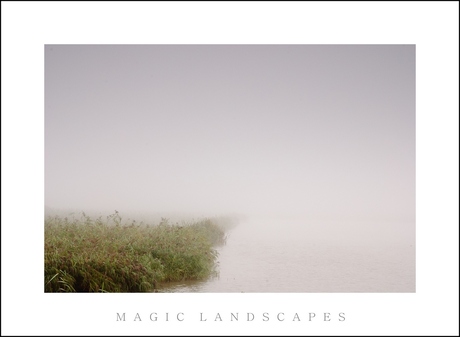 oostvaardersplassen