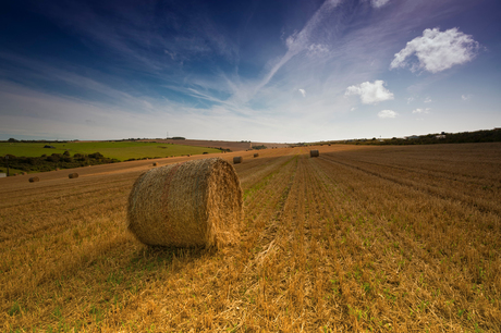 Straw on the hill