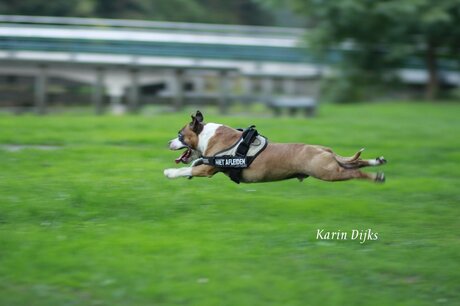 Flying Dozer