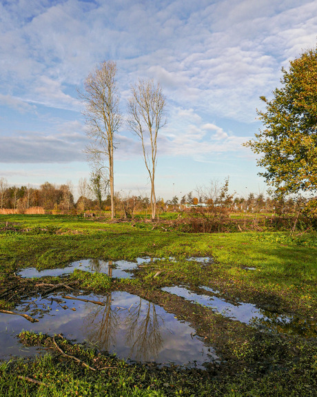 Na de regenbuien