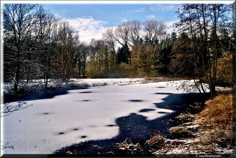 Winters Landschap