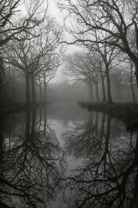 spiegeltje in het water 3