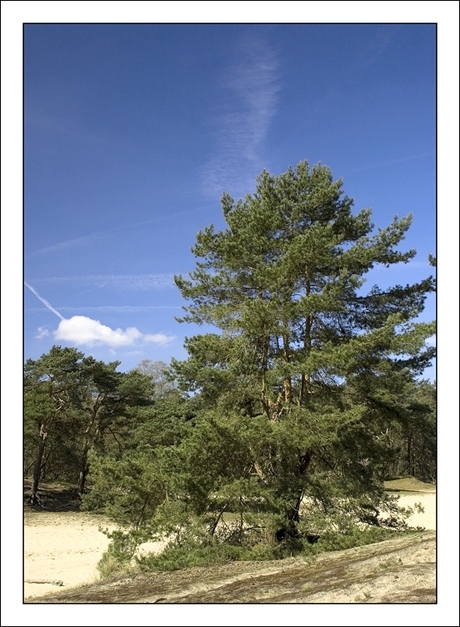 Drunense Duinen