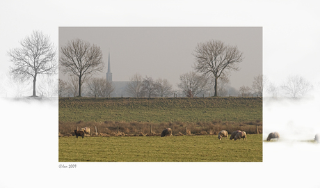 Elshout buiten beeld