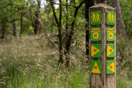 Wandelroute
