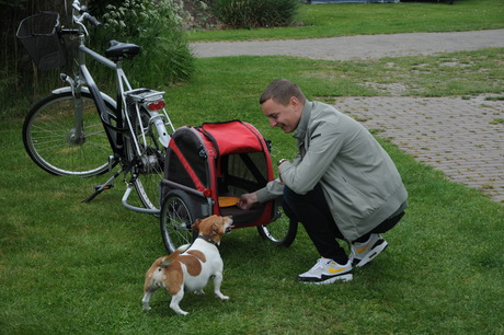 hond