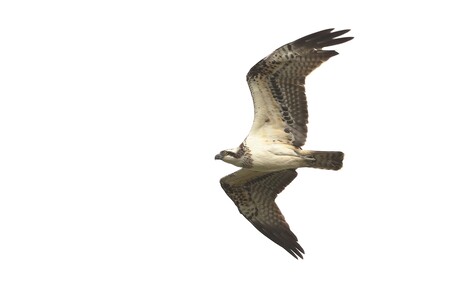 Boven de polder
