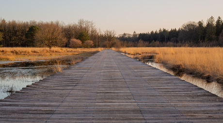Vlonderbrug Schoonloo
