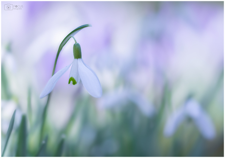 Nog eentje uit mijn mini voorjaarsserie