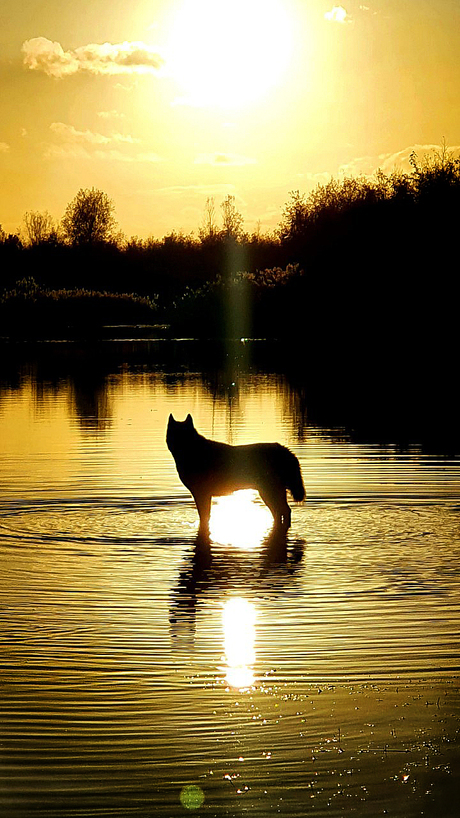 Storm in de natuur