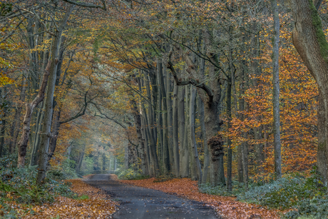 Gisteren nog een mooie herfstdag.