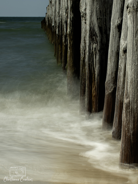 In de nevelige omhelzing van water en zand ontstaan dromen.