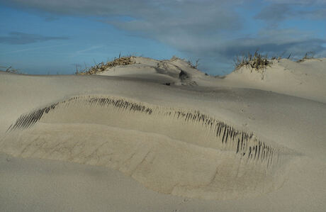 Sporen in het zand