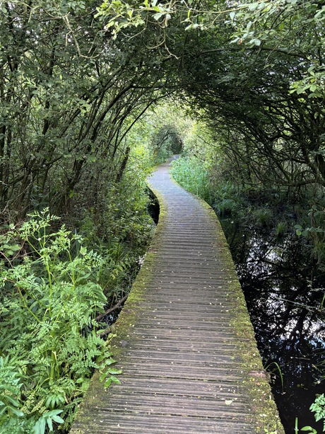 Wandelroute  Moerputten