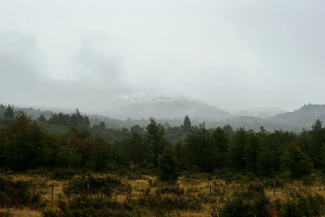 Misty Torres del Paine