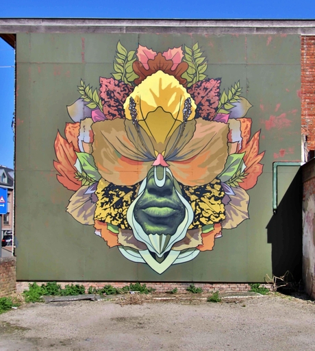 Street art Hasselt 5