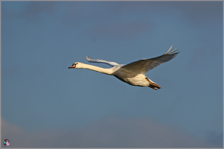 Met de  wind mee …