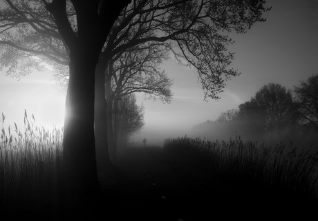 Zonsopkomst in zwart-wit 
