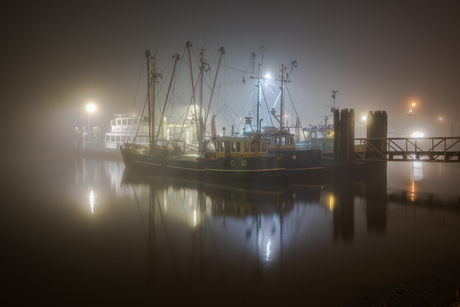 Kotters in de mist