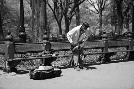 Sax in Central Park